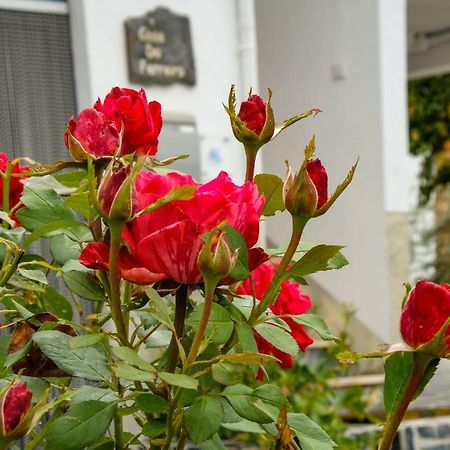 Casa Do Ferreiro Villa กอยส์ ภายนอก รูปภาพ