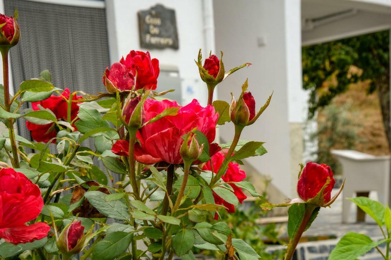 Casa Do Ferreiro Villa กอยส์ ภายนอก รูปภาพ